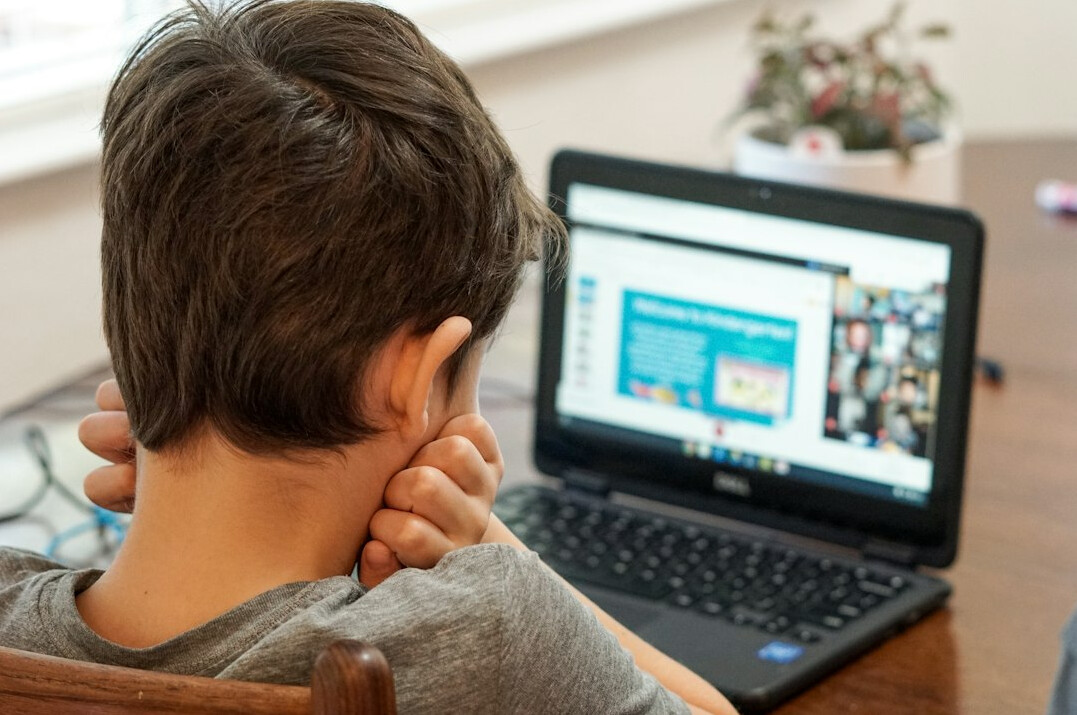 online learning setup